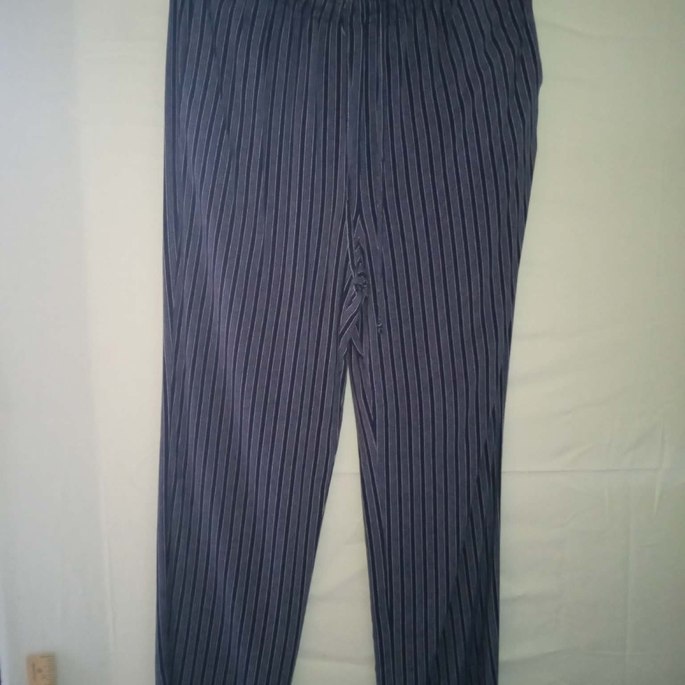 Sag Harbor Women's Blue Striped Pants